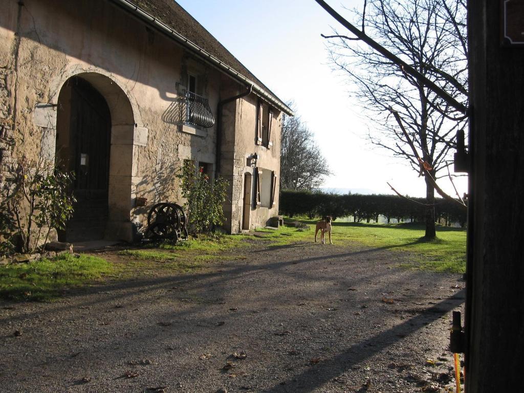 Chez Robert Et Catherine Dompierre-sur-Mont 객실 사진